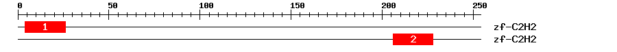 Signature Domain