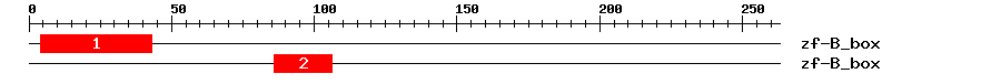 Signature Domain