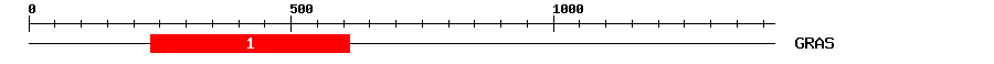 Signature Domain