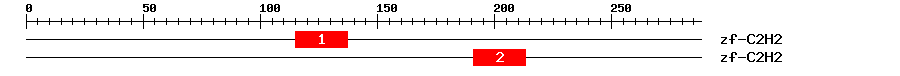 Signature Domain