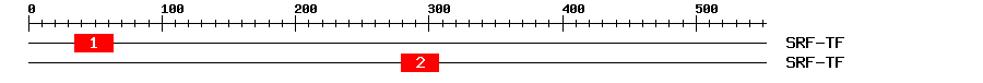 Signature Domain