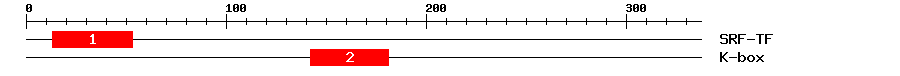 Signature Domain