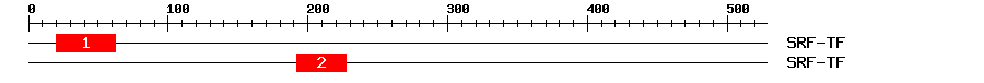 Signature Domain