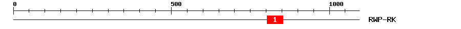 Signature Domain