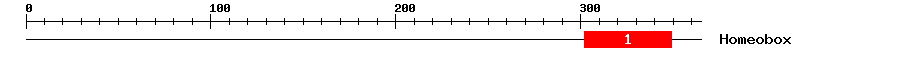Signature Domain