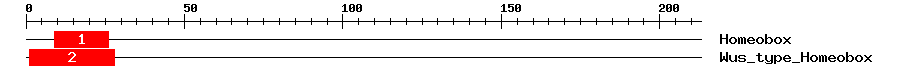 Signature Domain