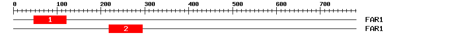 Signature Domain