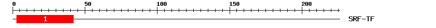 Signature Domain
