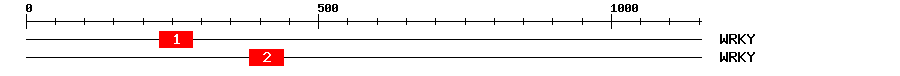 Signature Domain
