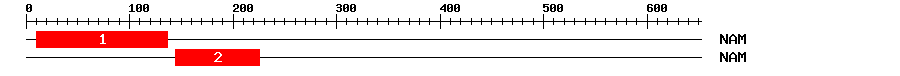 Signature Domain