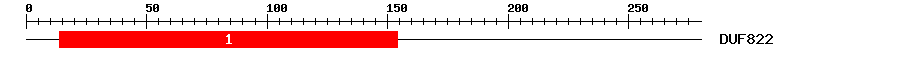 Signature Domain