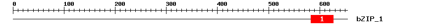 Signature Domain