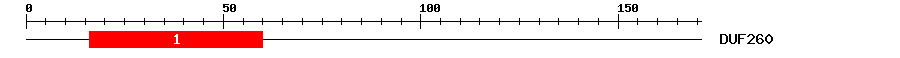 Signature Domain