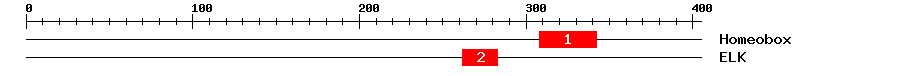 Signature Domain