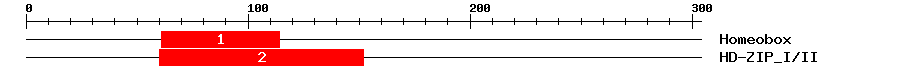 Signature Domain