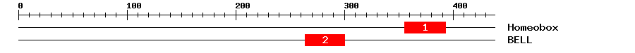 Signature Domain