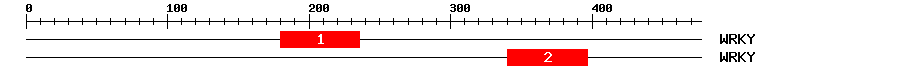 Signature Domain