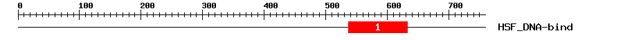 Signature Domain