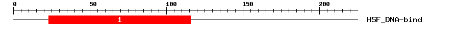 Signature Domain