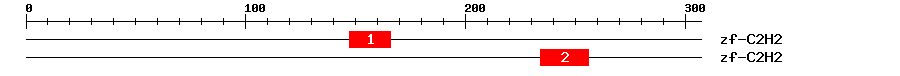 Signature Domain