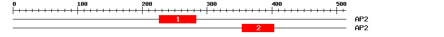 Signature Domain