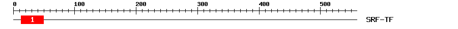 Signature Domain