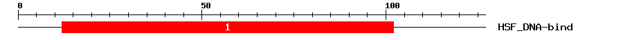 Signature Domain