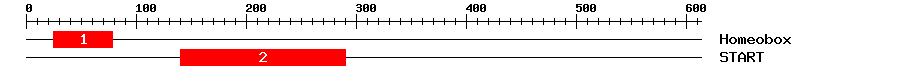 Signature Domain