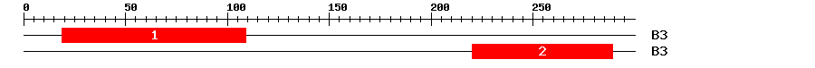 Signature Domain