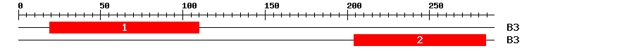 Signature Domain
