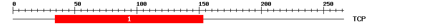 Signature Domain