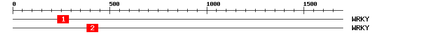 Signature Domain