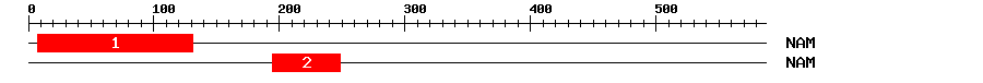 Signature Domain