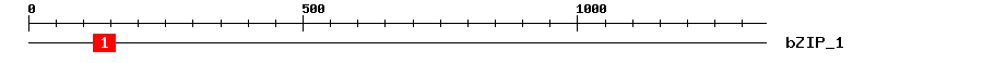 Signature Domain