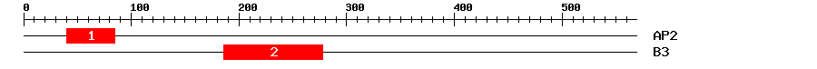 Signature Domain