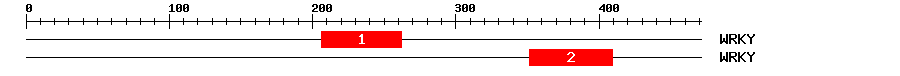 Signature Domain