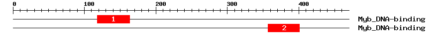 Signature Domain