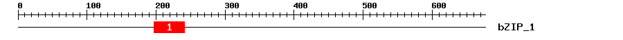 Signature Domain