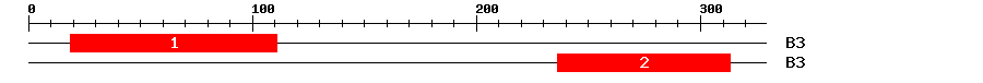 Signature Domain
