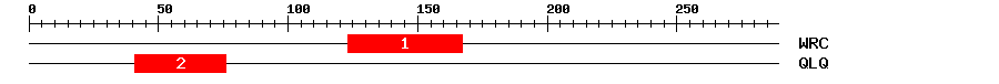 Signature Domain