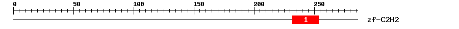 Signature Domain