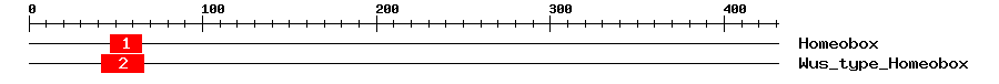 Signature Domain