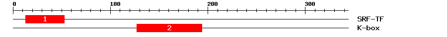Signature Domain