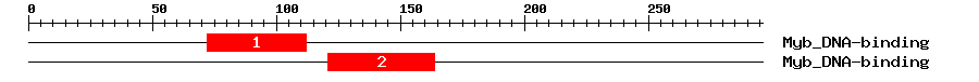 Signature Domain