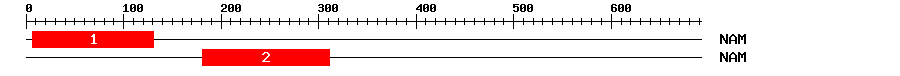 Signature Domain