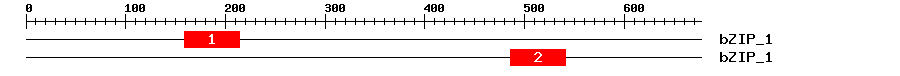 Signature Domain