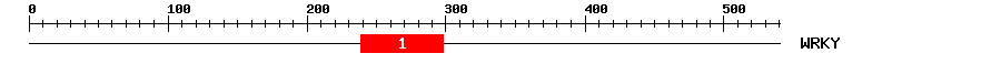 Signature Domain