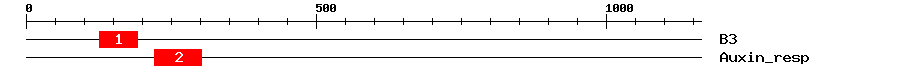 Signature Domain