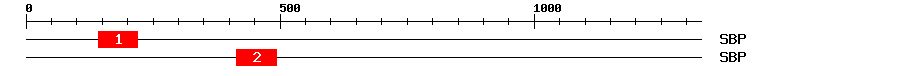 Signature Domain