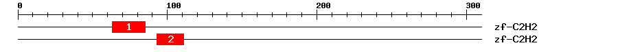 Signature Domain